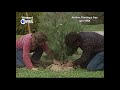 FTA - Hotline: Planting a Tree | Circa April 1984
