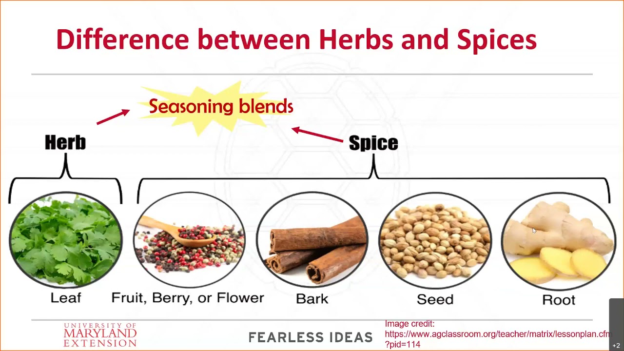 Capture the Flavor Herbs and Spices YouTube