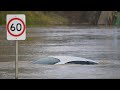 Australia: Severe weather causes flooding and leaves 200,000 without power