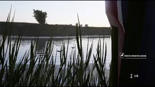 Hunting Simulator 2 Duck and Goose Toturial screenshot 5