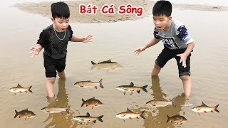 Trò Chơi Bắt Cá Thật Dưới Sông Min Min Tv Minh Khoa