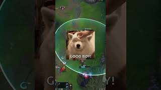 Flash pra surpreender