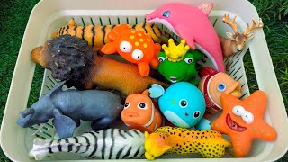 Sea & Wild Zoo Animals for Kids | Can You Name Every Animal? | English Learning Video screenshot 2