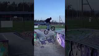New School Bmx Vs Skatepark Zeno Lehmann