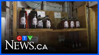 Cold spring slows maple syrup season, squeezing small producers