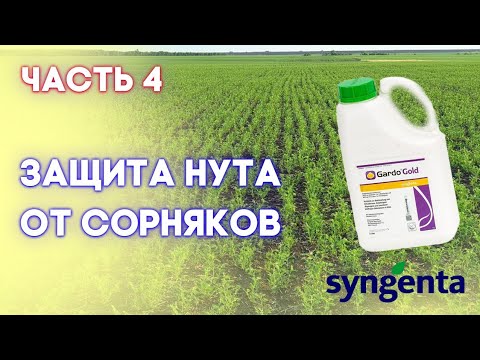 НУТ | Часть