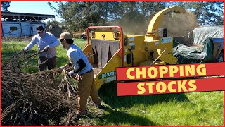 Chopping Stocks - LUMA Recycle Process
