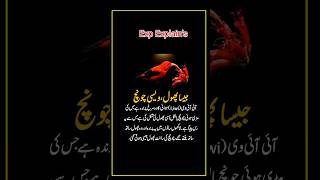 “The Strange Creature That Looks Like a Bird: Aye-Aye Explained” #viral #shorts #youtube