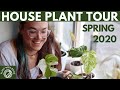 House plant tour spring 2020 | Plant with Roos