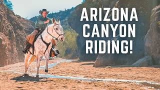 This Mule Ride Led Us Somewhere Incredible | Arizona Desert Canyons