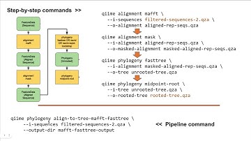 Phylogenetic tree construction