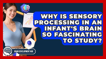 Why Is Sensory Processing In An Infant