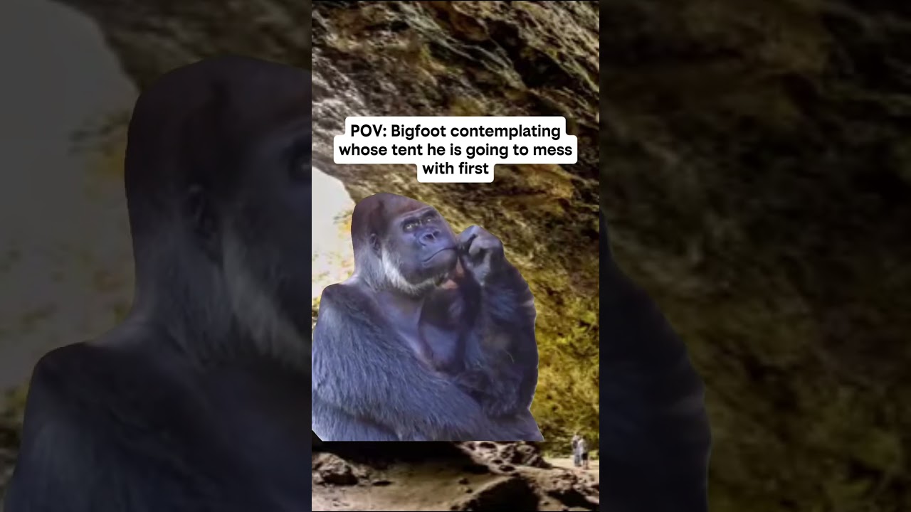 Eeny Meeny Miny Moe… #publishtoall