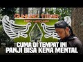 Cari ular di gunung tidar panji kena mental 