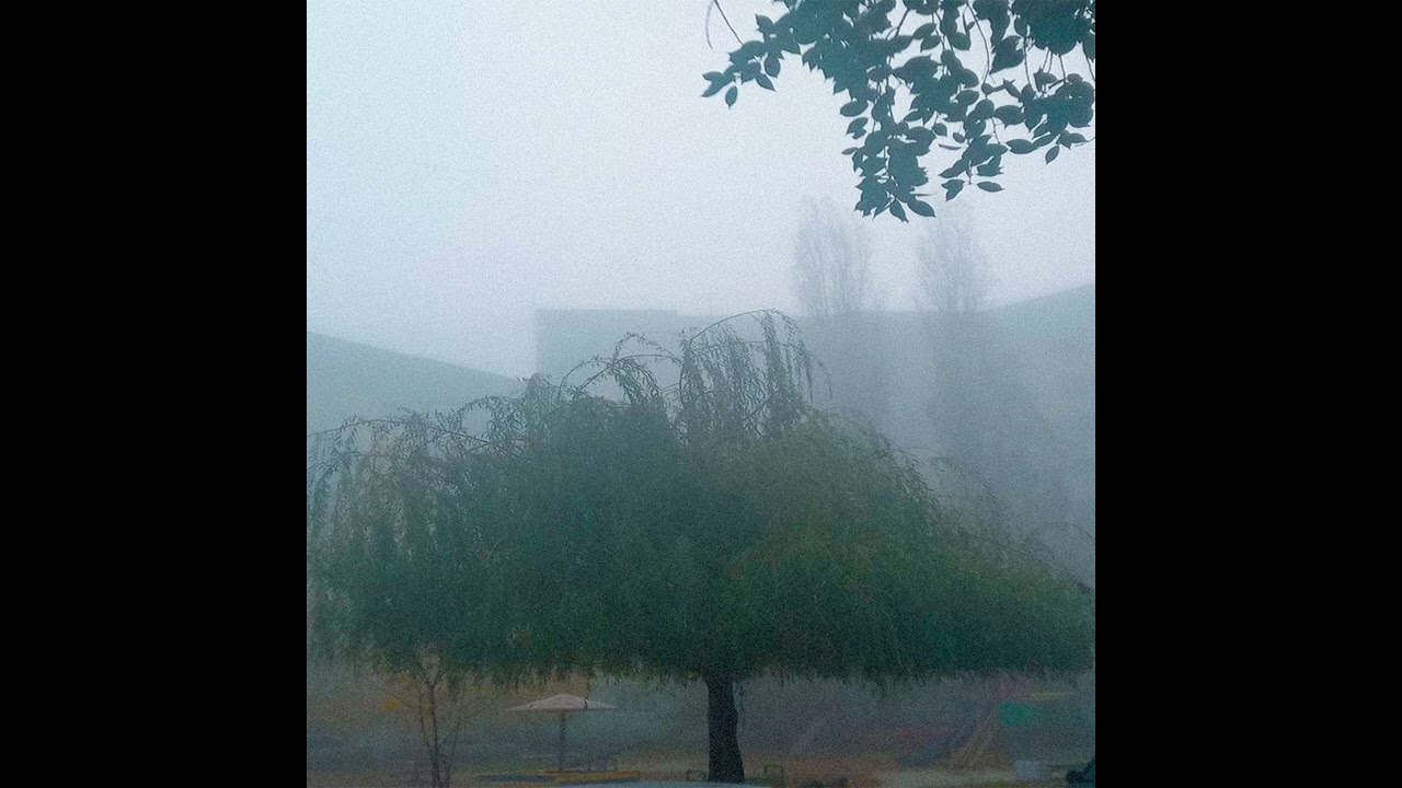 vfvchv - unshackling