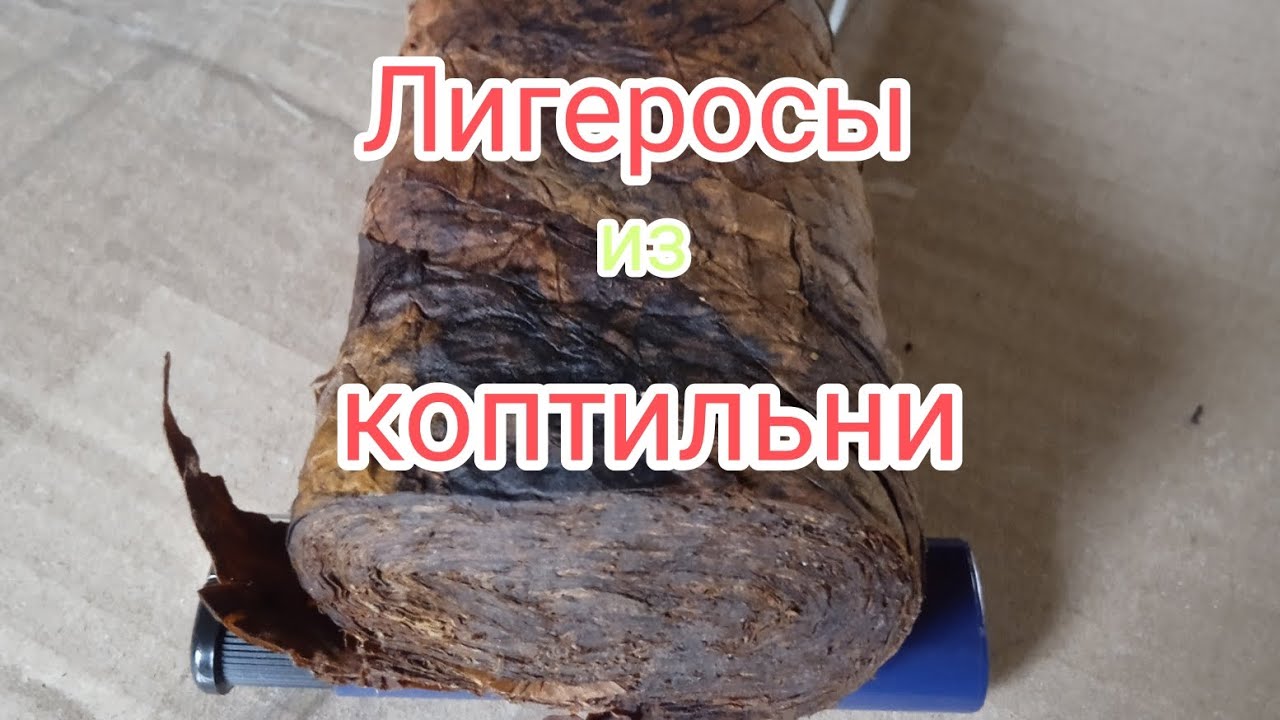 Какие на вкус, лигеросы после копчения и прессования