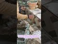 Watch This Tile Setup Transformation!