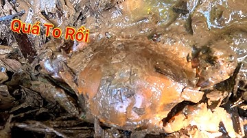 Định Thoát Với Anh À Bỏ Một Ngày Tìm Cho Ra Được 