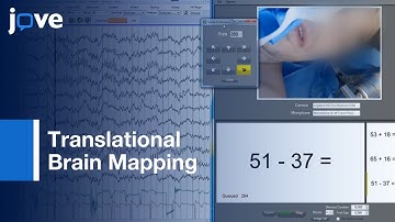 Translational Brain Mapping In Brain Tumor Surgery