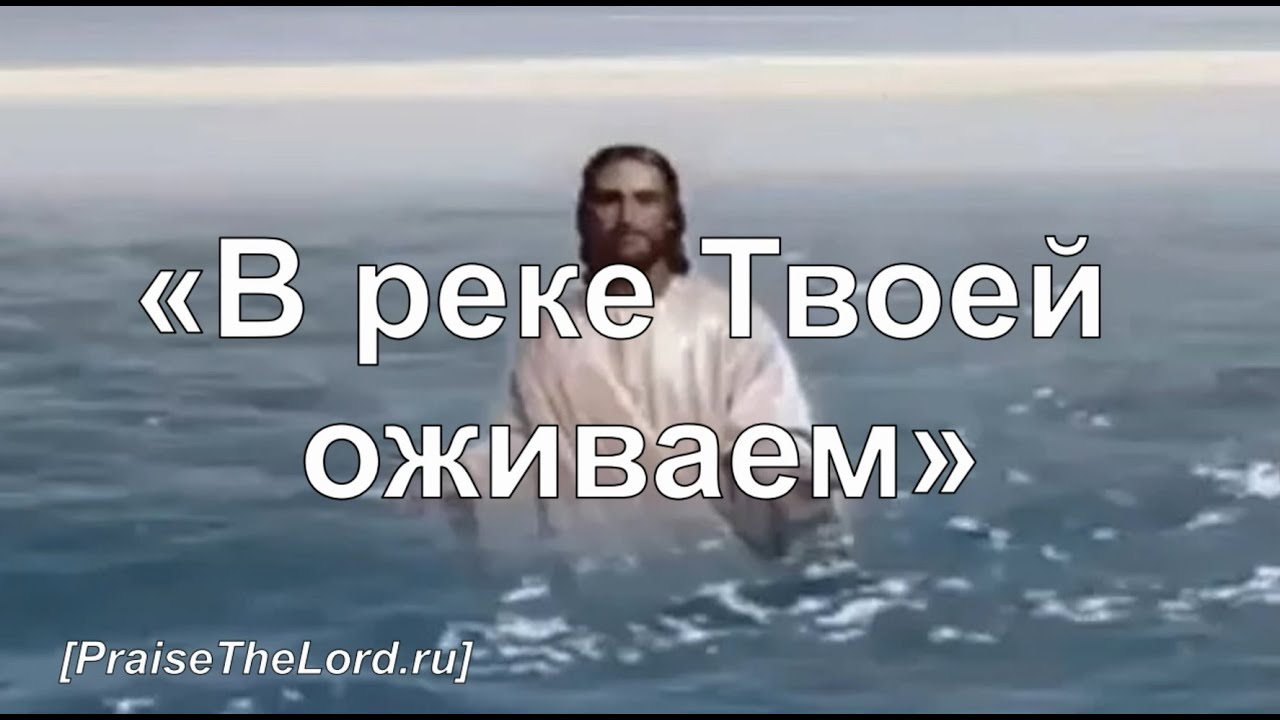 В реке твоей оживаем. В реке твоей оживаем. Дом божий мытищи. В реке твоей оживаем. В реке твоей оживаем.