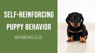 Self-Reinforcing Puppy Behavior with Michael Ellis