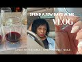 VLOG | SPEND A FEW DAYS W/ ME | LUNCH W/ THE GIRLS | WINE TASTING | NAILS