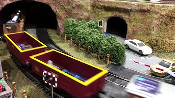 Model Flying Scotsman and and diesel train and level crossing with DDC sound!
