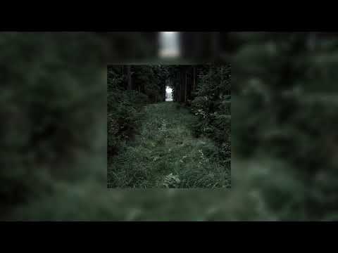 Cosmo Sheldrake - The Moss [ 8D Audio ] [ Lyrics in Description ]