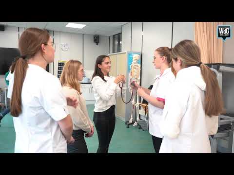 250 leerlingen beleven het echte werk in Weert