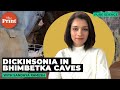 MP's Bhimbetka caves host to 550-million-year-old fossils, possibly oldest ever found in India