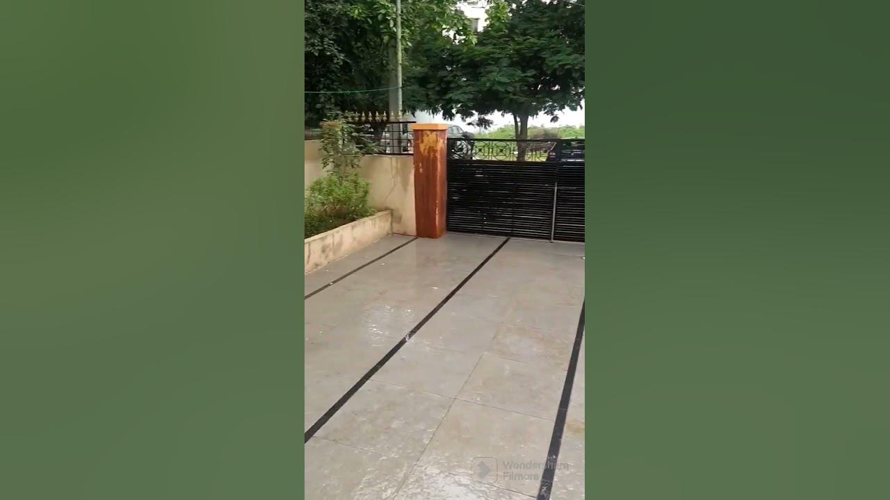 thipa-thega-new-tip-for-health-in-rainy-season-youtube