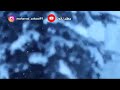 حالات واتس اب قران اجعلها منبه للاستيقاظ لصلاة الفجر 360 1
