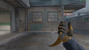 CS2 | Knife Glove Combos:★ Karambit | Tiger Tooth(FN)+★Sport Gloves | BIG GAME(FT)