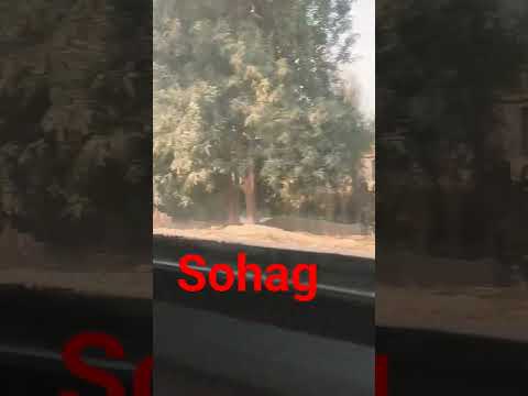 طب ليه نخاف من مين نخاف