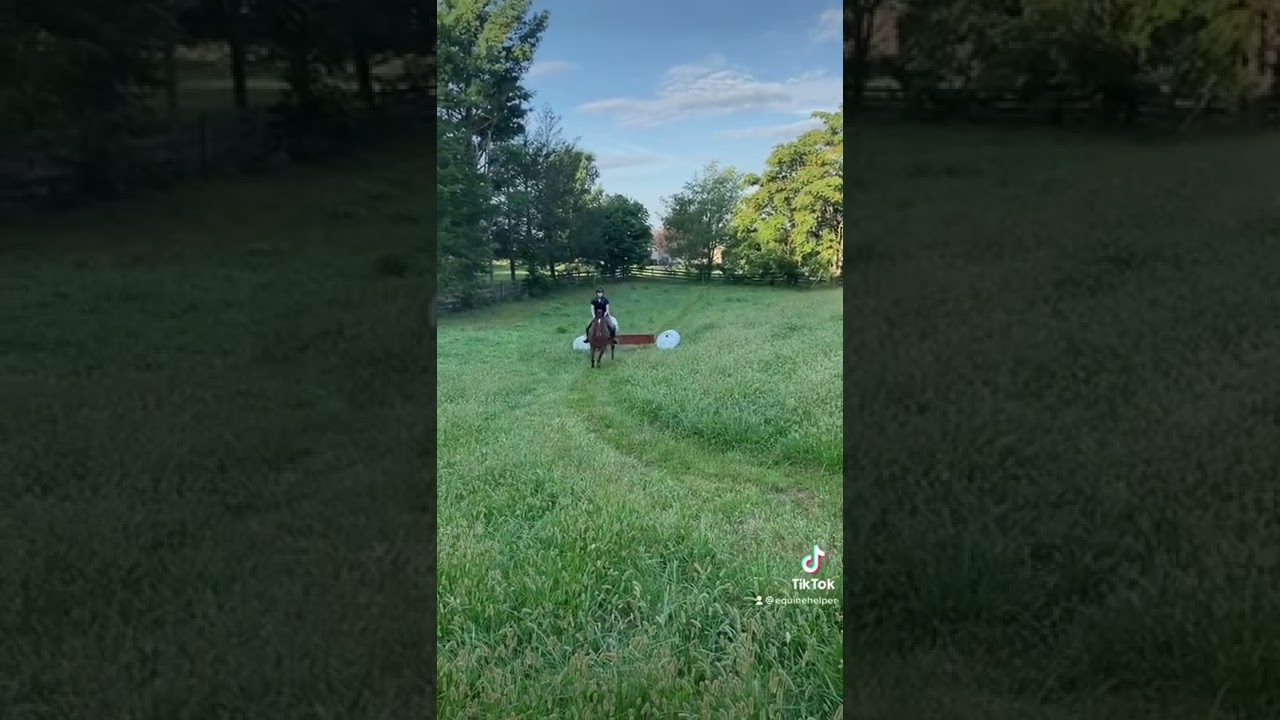 DIY Cross Country Jump 