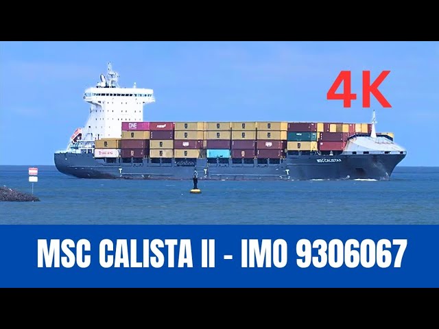 MSC CALISTA II (IMO 9306067) Container Ship | Elbe River – Cuxhaven | 4K
