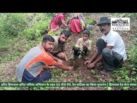 🌱 हरित हिमाचल–हरित भविष्य अभियान के तहत 50 पौधे रोपे, देव वाटिका का किया शुभारंभ Himachal Dev Sena
