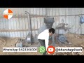 waste wood crusher machine,wood chipper machine from Bharat Agrritech