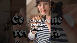 Ce chat ne reviendra jamais #animaux #tissage