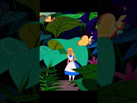 Paracosm #washedout #alice