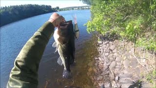 First day out with the Fish Arrow x DRT Riser Jack Jr (Big Bass)