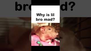 Bro clenching his fists 😭