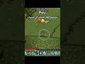 تصاميم أخوك الصغير الي مدمرك فيها اكسبلور ماين كرافت Minecraft Gaming Shorts Funny 