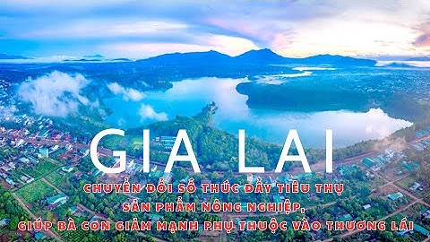 Gia Lai: Chuyển đổi số thúc đẩy tiêu thụ sản phẩm nông nghiệp giúp bà con giảm mạnh phụ thuộc vào