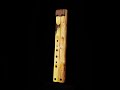 Buckthorn Drone Branch Flute - Aeolian scale Bb #nativeflute #soundhealing #meditation