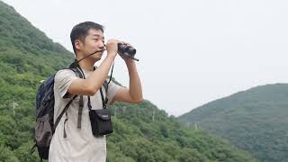 Easy Wildlife & Bird Watching! SA207 Spotting Scope + SC002 WiFi Camera Rig