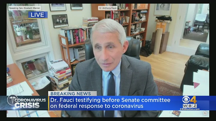 Sen. Elizabeth Warren Questions Dr. Anthony Fauci At Senate Coronavirus Hearing