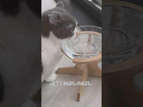 너 물은 제대로 먹고 다니는 거니?