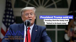 Coronavirus: Trump's WHO de-funding 'as dangerous as it sounds'