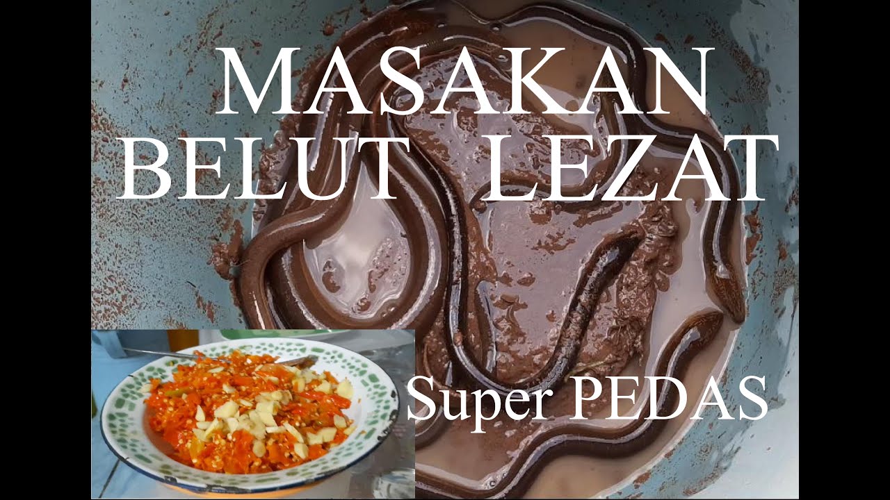 Masak Belut - YouTube